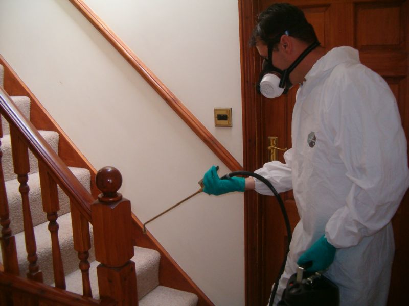Pest Control Company to Provide Honest Services at a Competitive Price