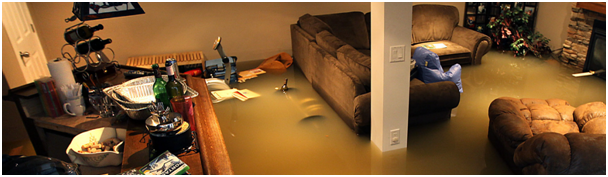 Everything You Should Know About Basement Flood Cleanup