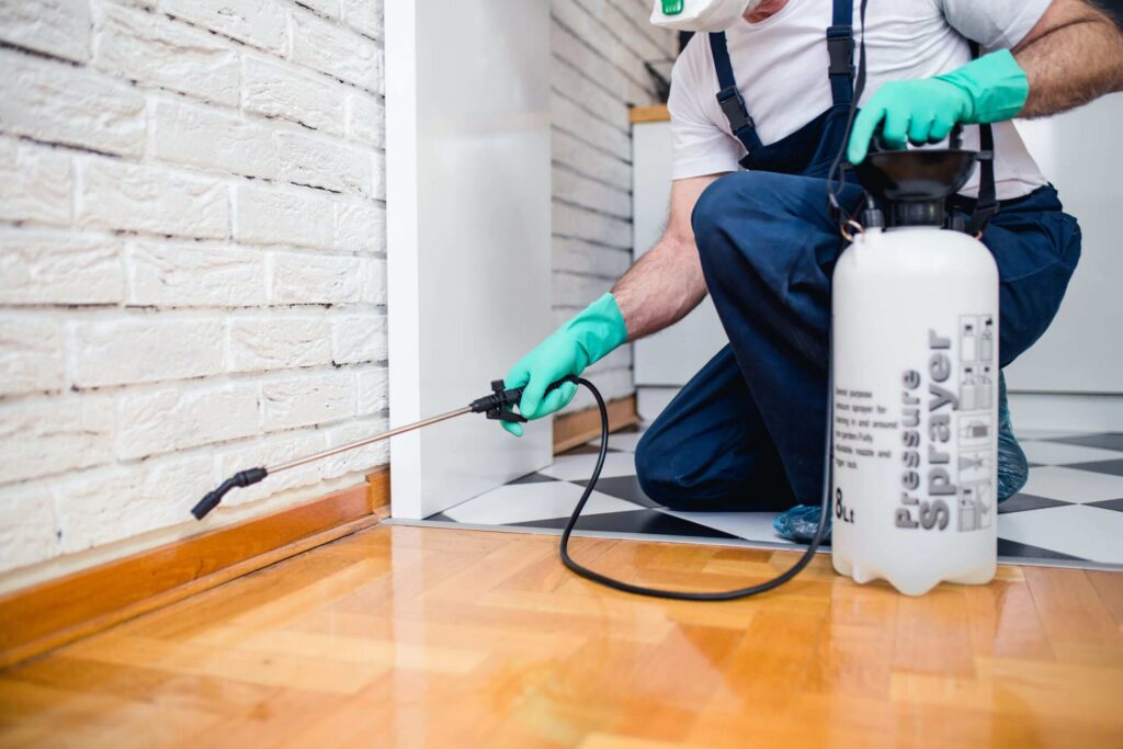 HOW TO FIND A QUALITY PEST CONTROL COMPANY?