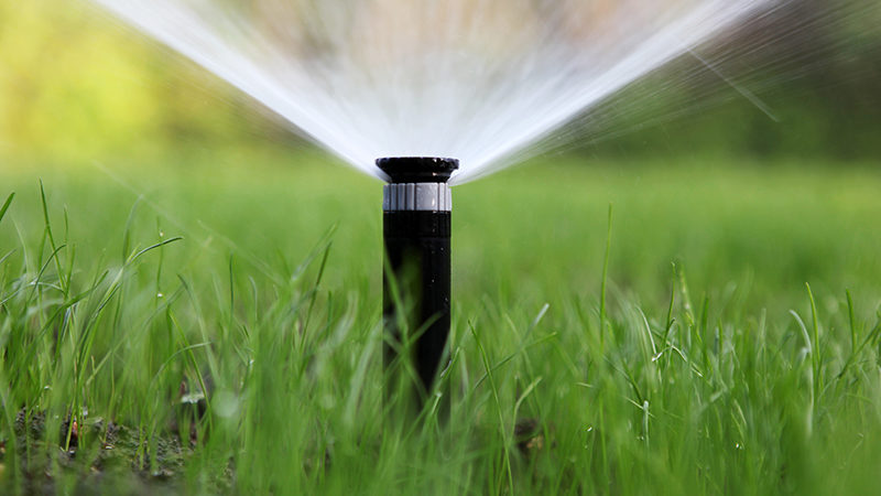 Automate Your Lawn Care with These Yard Watering Systems