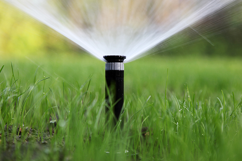 Automate Your Lawn Care with These Yard Watering Systems