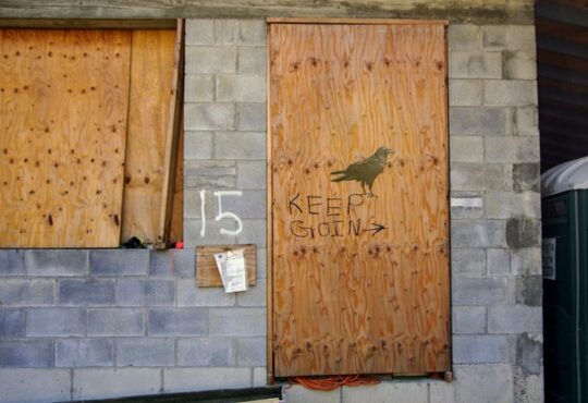 Storm Entry Door